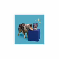 Lily's Kitchen with Natural Ingredients Adult Dog Treats Packet Christmas Bedtime Biscuits 8x80g