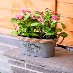 Zinc Plant Pot with Anti-Slug Cotton Rope Handles Home Garden Kitchen - Oval - Additional view 9
