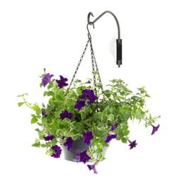 LIVIVO Macrame Hanging Planter - Stylish Flower Pot Holder - 12"
