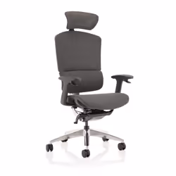 Posture excellence is achieved by the Ergo Click Plus with its "fly by wire" technology that puts key adjustments a ...