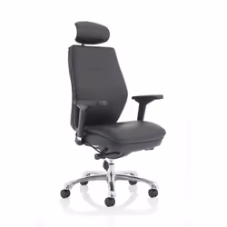 If you want to score 100 or more in your office or home. the Domino is the chair for you. Black in colour. the Domino benefit ...