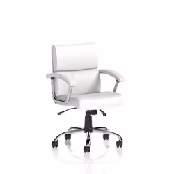 Dynamic Desire Medium Back White Soft Bonded Leather Executive Office