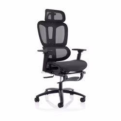 Dynamic Horizon Executive Mesh Office Chair With Height Adjustable Arm
