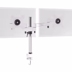 Duronic DM352 /WE Dual Monitor Stand for Two 13-27â PC Screens Up to 8KG, VESA, Ergonomic Arm with Adjustable Height/Tilt/S ...