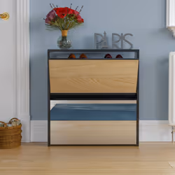 Welham 2 Drawer Shoe Cabinet Mirror Tall Storage - Black