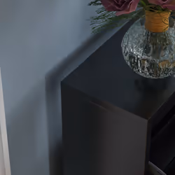 Welham 2 Drawer Shoe Cabinet Mirror Tall Storage - Black
