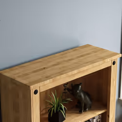 Corona 2 Door Bookcase Cabinet Shelf Storage Pine
