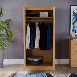 Riano 2 Door Wardrobe Hanging Rail Shelf Storage - Pine