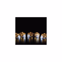 Christmas Decoration Acrylic Hedgehog set 5 1.2m 40 White LED 6921007