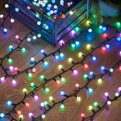 Indoor and Outdoor Christmas Tree Berry Lights, Colour Select LEDs, Remote Controlled