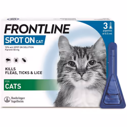 Frontline Spot On for Cats, 3 Pipettes
