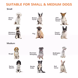 PawHut 155cm Expandable 3-Panel Freestanding Dog Pet Gate w/ Latched Door White