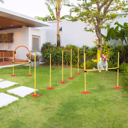 PawHut Outdoor 3 PC Dog Pet Agility Training Garden Starter Obstacle Set for Dog