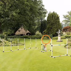 3-Piece Suit Agility Set for Dog Training Exercise Adjustable Obedience
