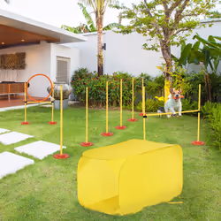 PawHut Outdoor 4 PC Dog Pet Agility Training Garden Starter Obstacle Set for Dog
