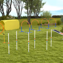PawHut Dog Weave Pole Set Agility Starter Kit Pet Outdoor Exercise Training Set - Additional view 7