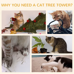 PawHut Cat Scratching Barrel Kitten Tree Tower with Sisal and Seaweed Rope - Additional view 5