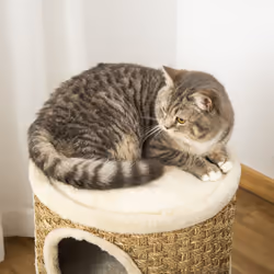 PawHut Cat Scratching Barrel Kitten Tree Tower with Sisal and Seaweed Rope - Additional view 7