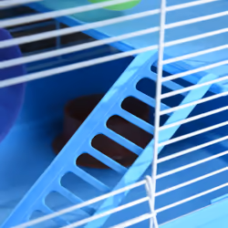 Pawhut Hamster Cage Carrier Small Animal House w/ Exercise Wheels Tunnel Tube - Additional view 7