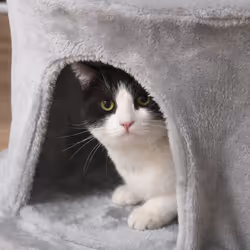 PawHut Cat Tree Kitten Tower w/ Scratching Post Condo Plush Perches Grey - Additional view 6