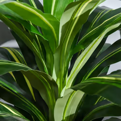 Outsunny 110cm/3.6FT Artificial Dracaena Plant Fake Tree Potted Home Office - Additional view 5