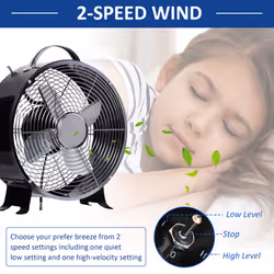HOMCOM 2-Speed Electric Fan with Safe Guard Anti-Slip Foot Pads Black