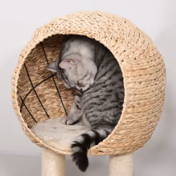 PawHut 100cm Cat Tree Tower Kitten Climbing Tower W/ Scratching Post Condo - Additional view 5