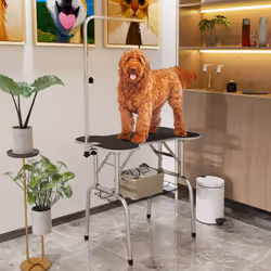 PawHut Pet Foldable Grooming Table w/ Adjustable Arm Non-Slip Tabletop Leash