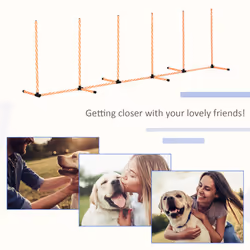 PawHut Dog Agility Weave Poles Training Obstacle Course Set with Whistle - Additional view 4