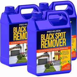 Pro-Kleen Path & Patio Black Spot Remover - 15L