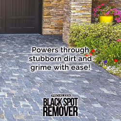 Pro-Kleen Path & Patio Black Spot Remover - 15L