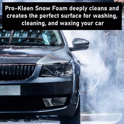 Pro-Kleen Cherry Snow Foam, Nilfisk Lance, Dashboard Shine Spray