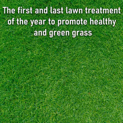 ProKleen Premium Iron Sulphate 2.5KG & Spring & Autumn Lawn Feed 2.5KG