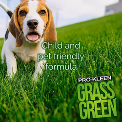 Lawn Feed Fertiliser Food Grass Green Nutrients - 2 x 2.5KG