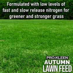 Autumn Lawn Feed Fertiliser Grass Green Granules - 2 x 2.5KG