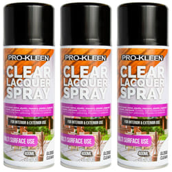 Pro-Kleen Multi-surface Clear Lacquer Spray - Gloss, 3