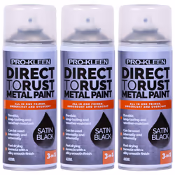 Pro-Kleen Direct to Rust Quick Drying Paint - 3