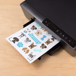 Cricut Joy Xtra Sticker Set (18 Sheetes)