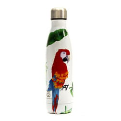 MC California 500ml Stainless Steel Flask - Parrot