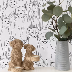 nu wallpaper PAWS ON BLACK & WHITE peel & stick wallpaper