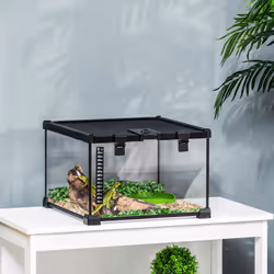 PawHut Glass Reptile Terrarium Habitats for Lizards, Frogs, Snake 30 x 30 x 20cm