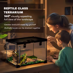 PawHut Glass Reptile Terrarium Habitats for Lizards, Frogs, Snake 30 x 30 x 20cm