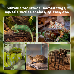 PawHut Glass Reptile Terrarium Habitats for Lizards, Frogs, Snake 50 x 30 x 25cm - Additional view 5