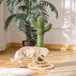 PawHut Cat Tree Cactus Sisal Scratching Post Interactive Fun Roller Exerciser