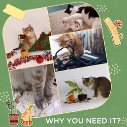 PawHut Cat Tree Cactus Sisal Scratching Post Interactive Fun Roller Exerciser - Additional view 4