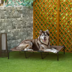 PawHut Elevated Dog Bed Cooling Raised Pet Cot for Indoor Outdoor Use, XX Large