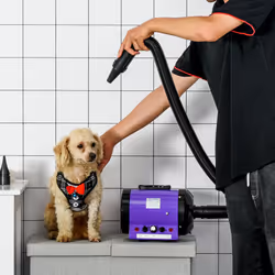 PawHut 2800W Dog Hair Dryer Pet Grooming Blaster Blower Dryer 3 Nozzles, Purple