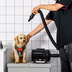 PawHut 2800W Dog Hair Dryer Pet Grooming Blaster Blower Dryer 3 Nozzles, Black