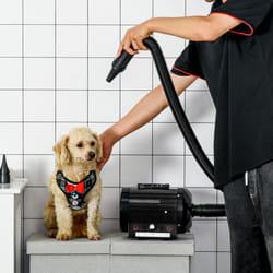 PawHut 2800W Dog Hair Dryer Pet Grooming Blaster Blower Dryer 3 Nozzles, Black
