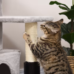 PawHut Cat Tree Climbing Activity Center w/ Scratching Massage Toy Hanging Ball - Additional view 5